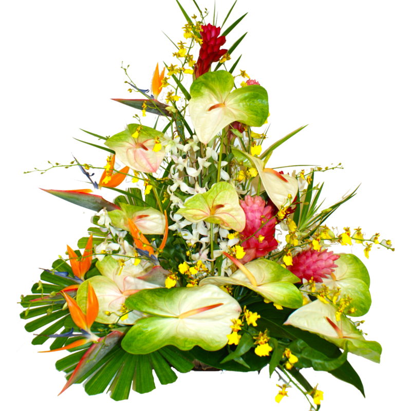 Deluxe Tropical Mix Assortment