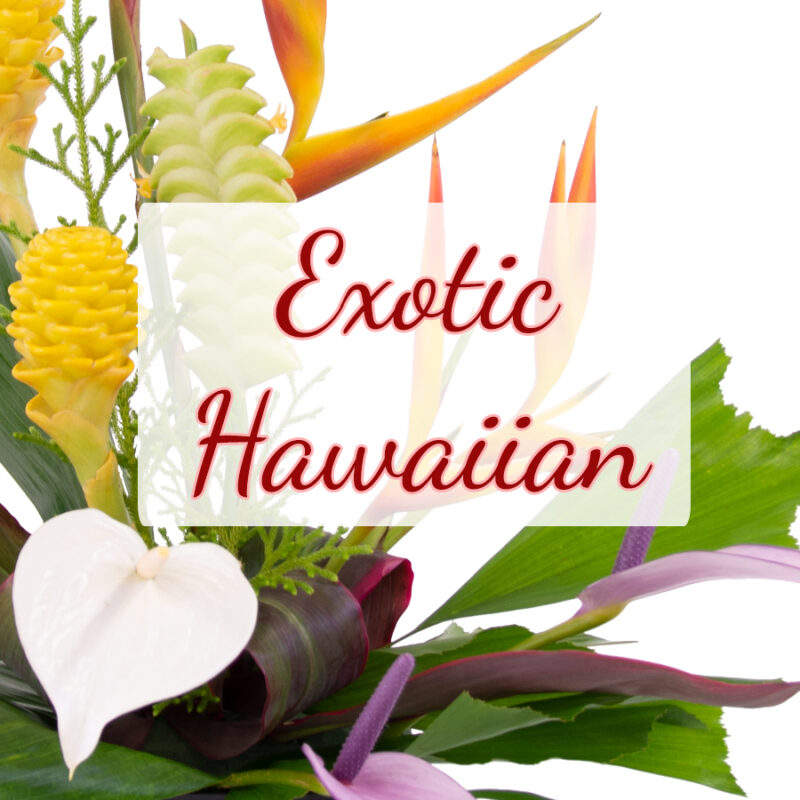 Exotic Hawaiian
