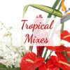 Tropical Mixes