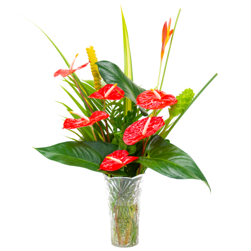 Aloha Mix Assortment